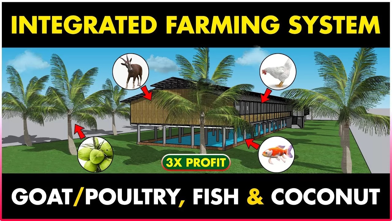 integrated_farming